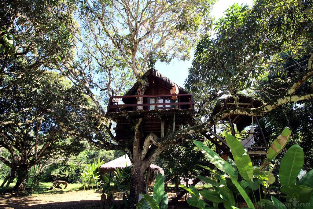 Art Jungle Hotel Itacaré Buitenkant foto