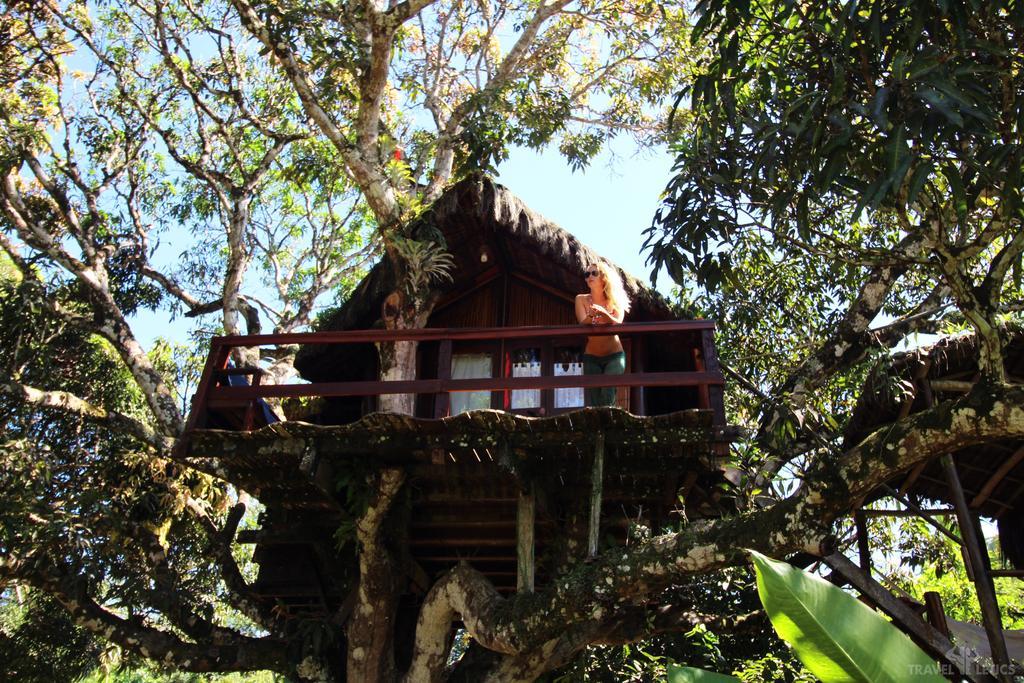 Art Jungle Hotel Itacaré Buitenkant foto