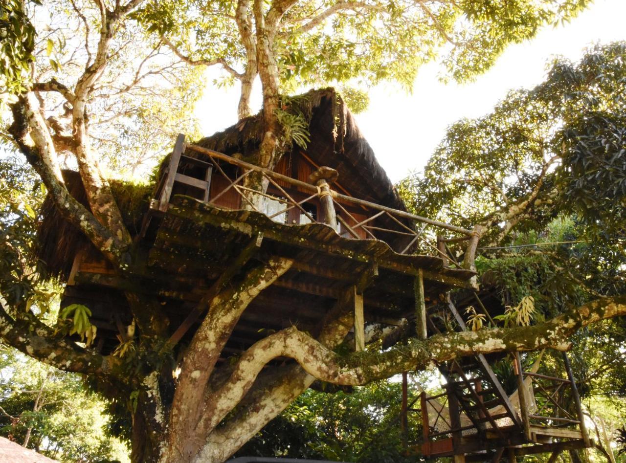 Art Jungle Hotel Itacaré Buitenkant foto